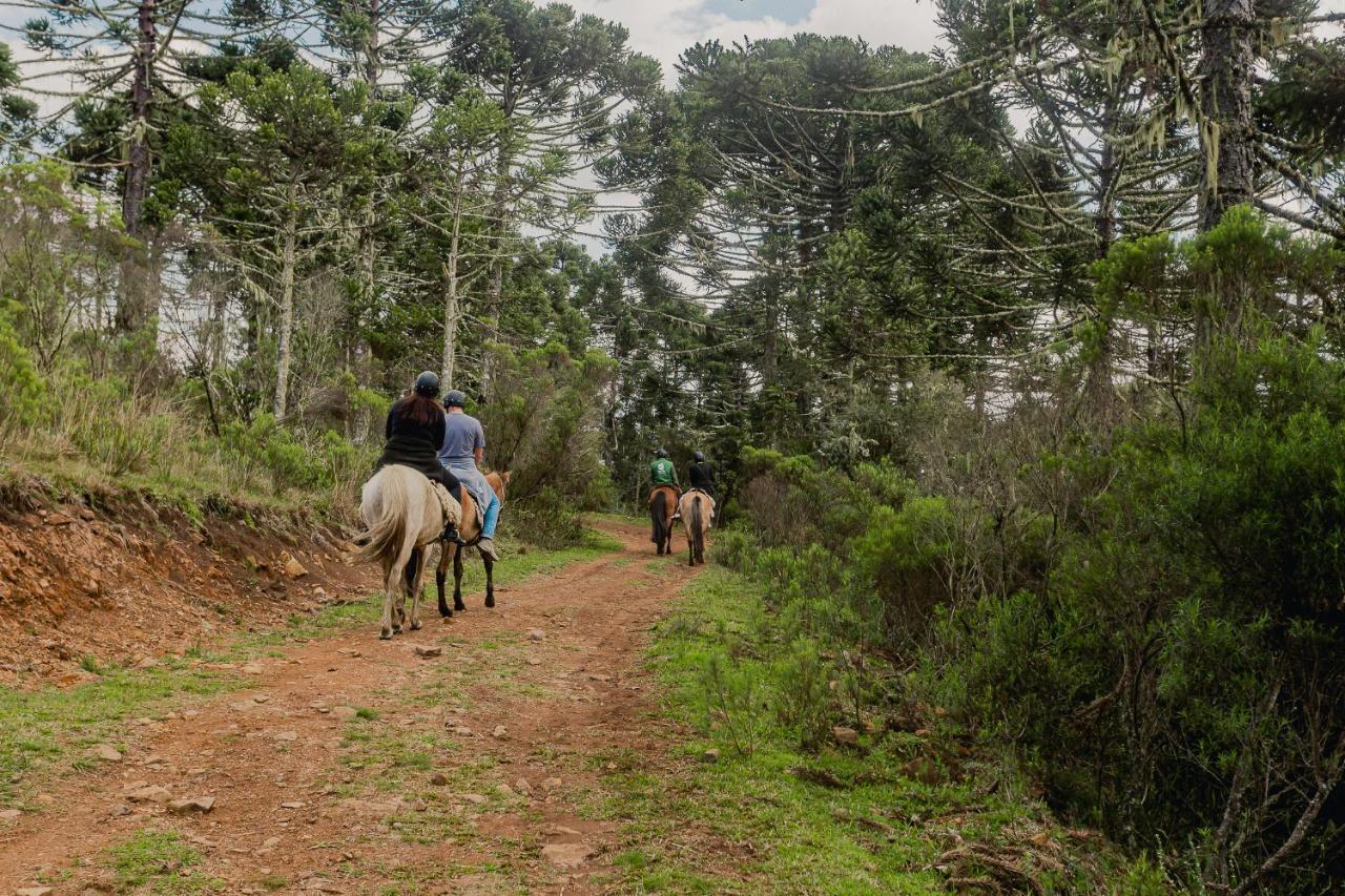 Hotel Fazenda Rota Dos Canions بوم جارديم دا سيرا المظهر الخارجي الصورة